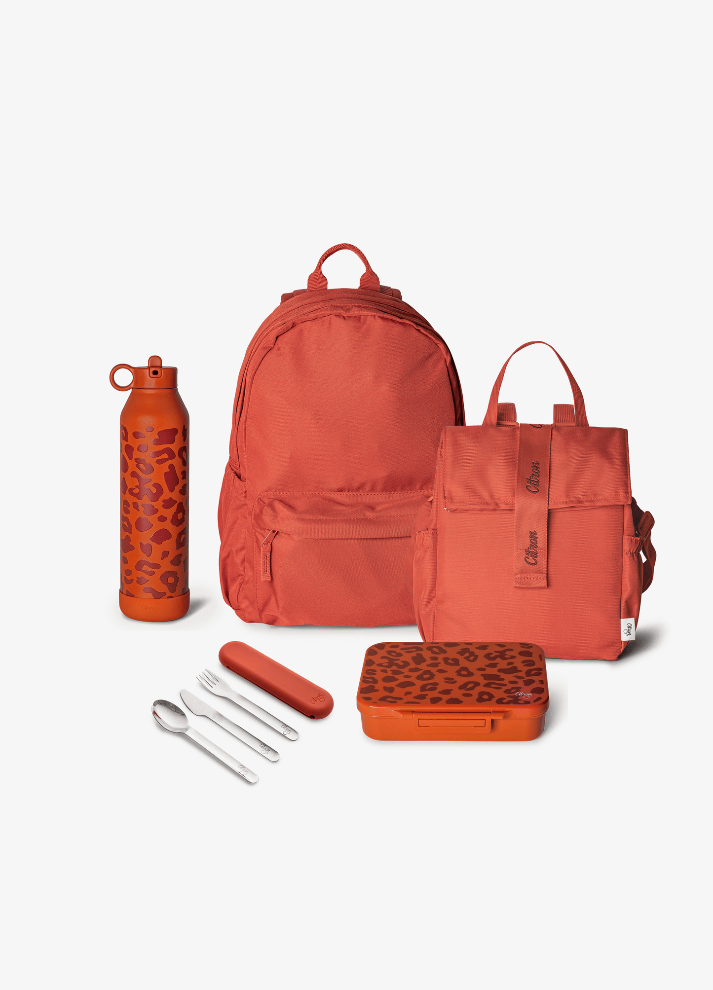 Complete School Set - Set of 5 - Leo