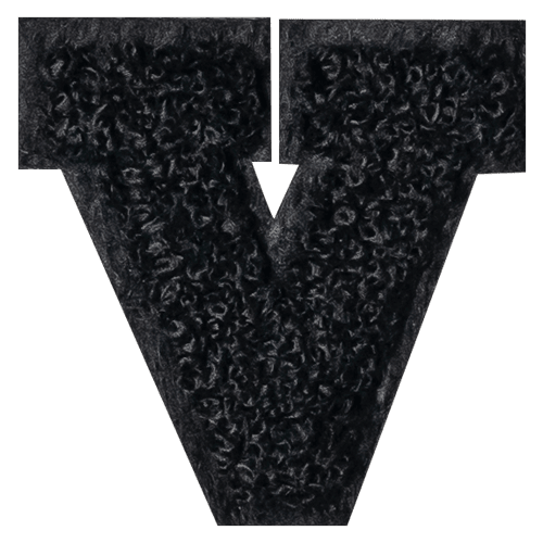 Black Letter 'V'