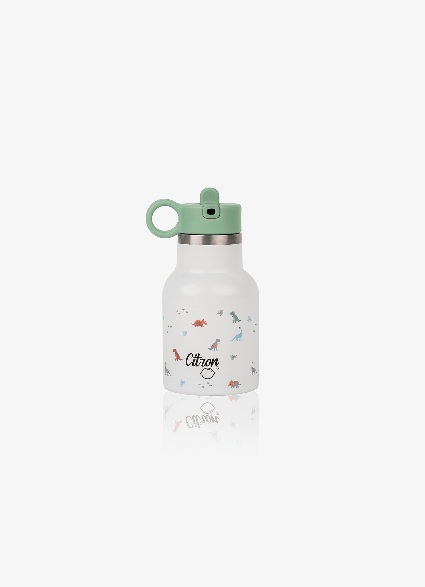 Water Bottle - 250ml - Dino