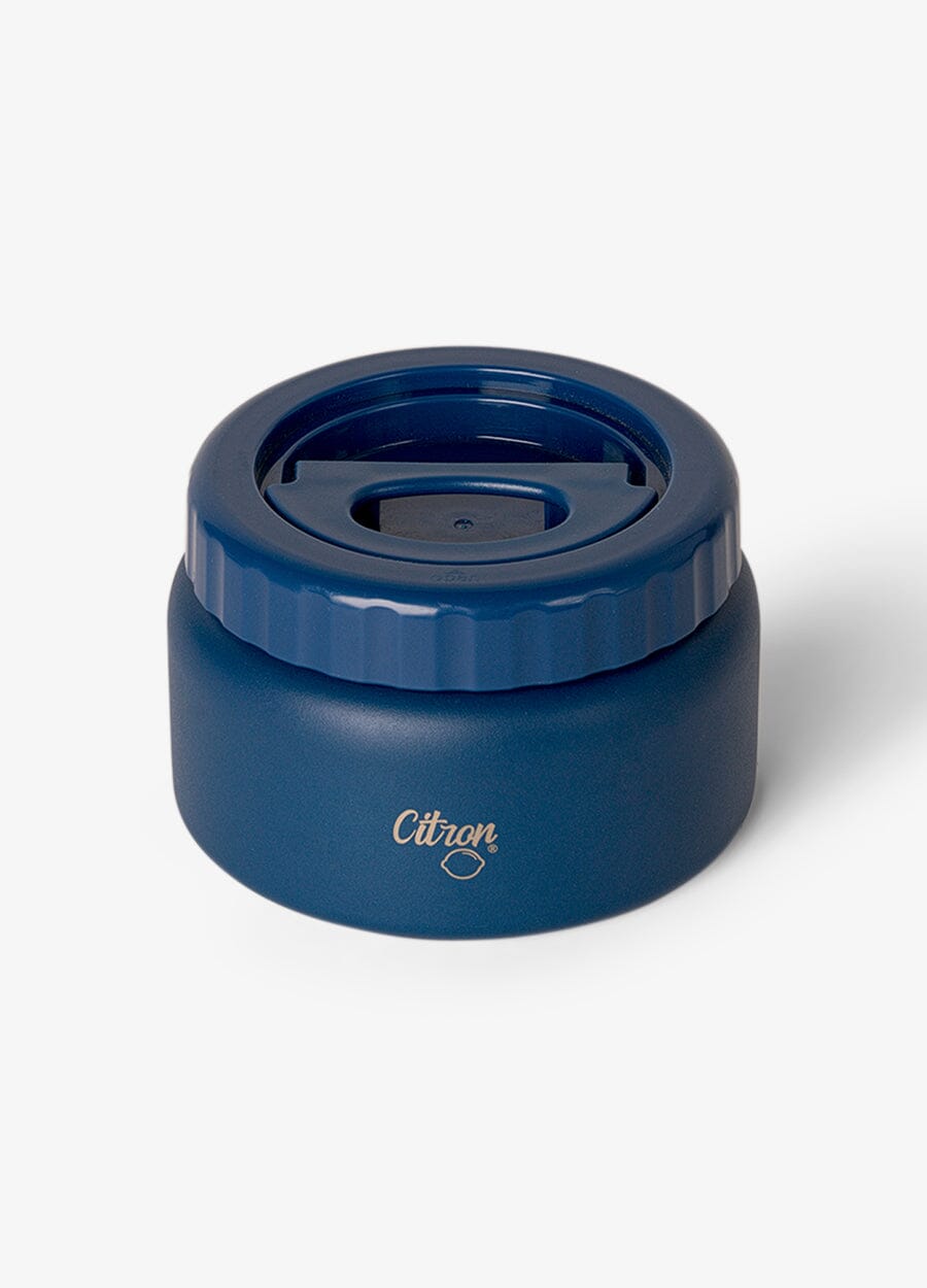 Small Thermal Food Jar - 250ml - Blue Dino