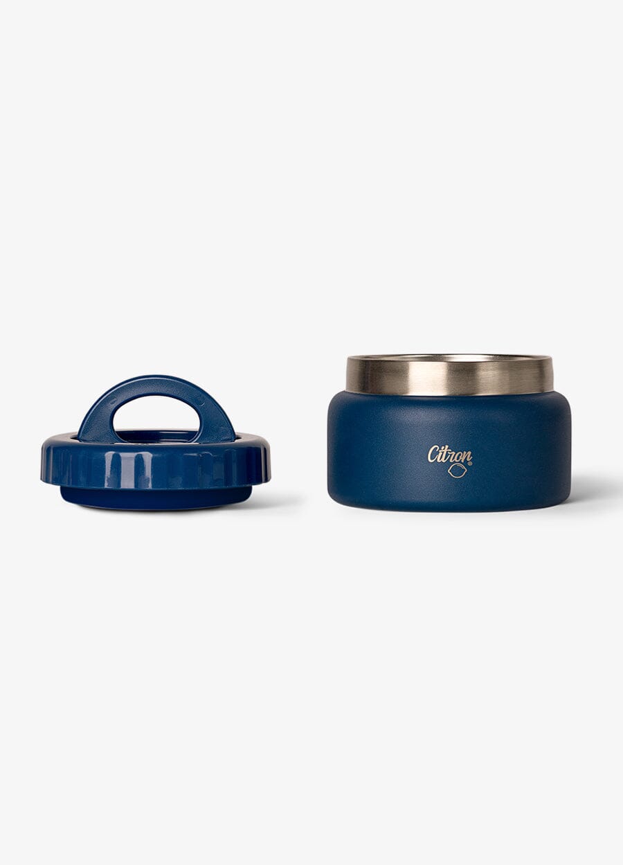 Small Thermal Food Jar - 250ml - Blue Dino