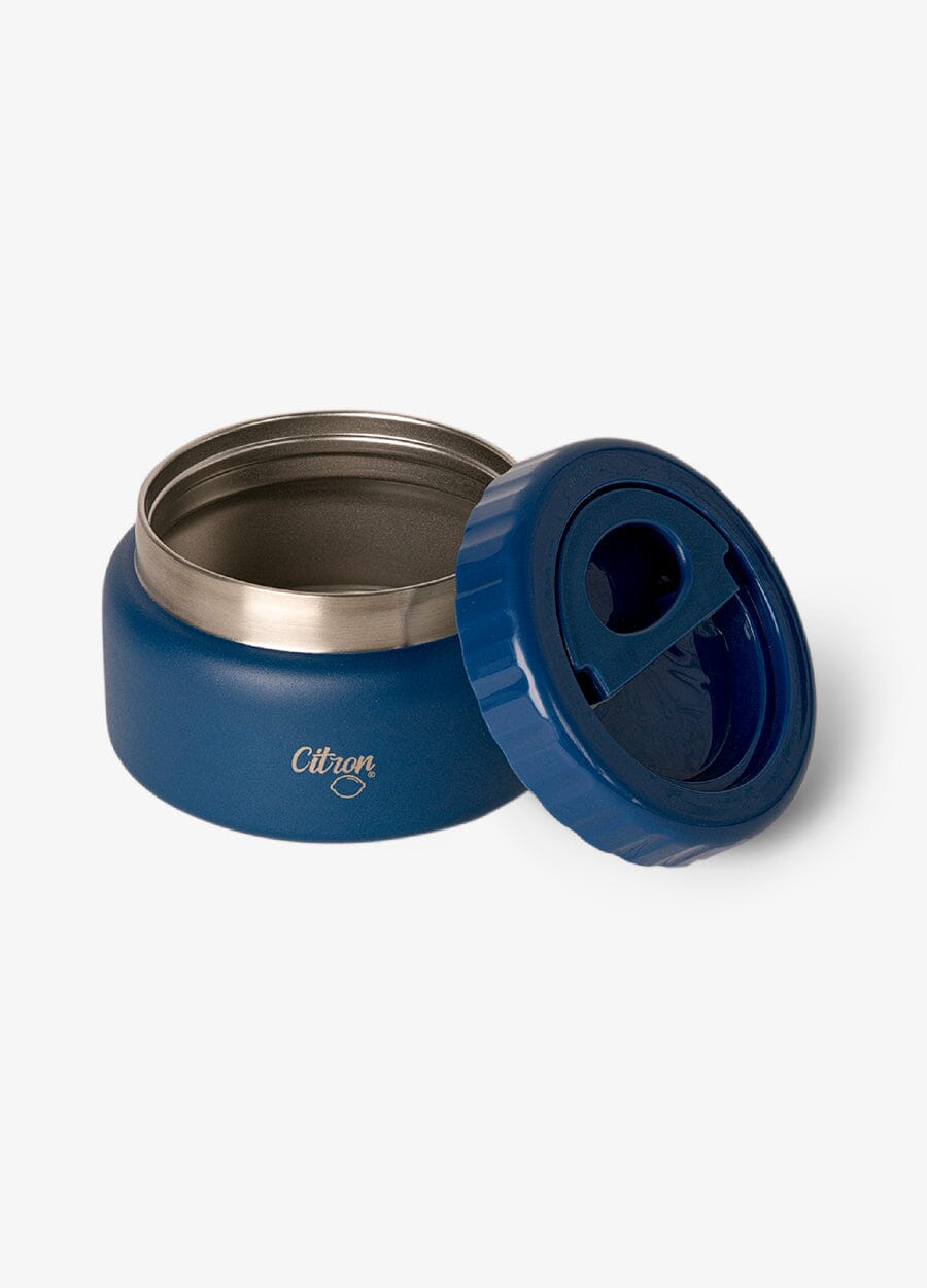 Small Thermal Food Jar - 250ml - Blue Dino