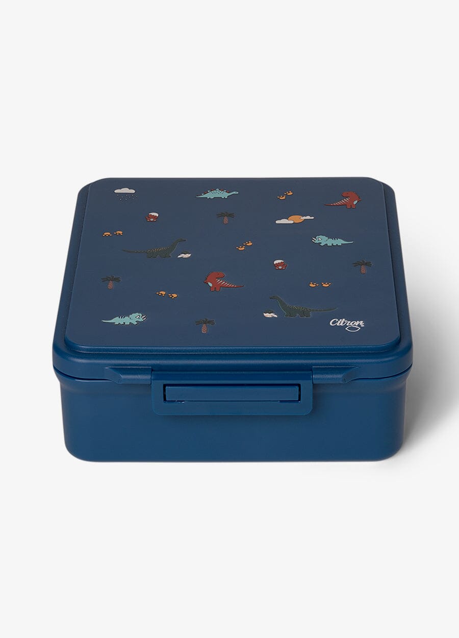 Grand Lunch Box - 4 Compartments - Dino