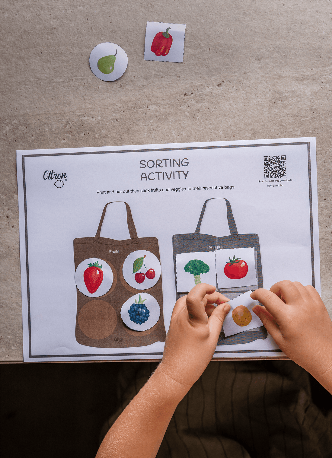 Sorting Activity - Free Downloads โ Citron