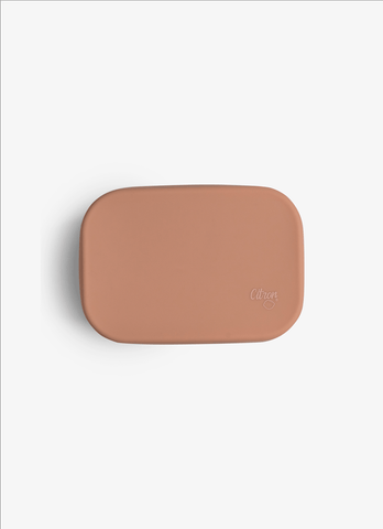 Mini Stainless Steel snack box - Blush Pink – Citron