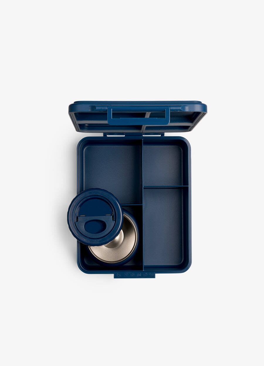 Grand Lunch Box - 4 Compartments - Dino