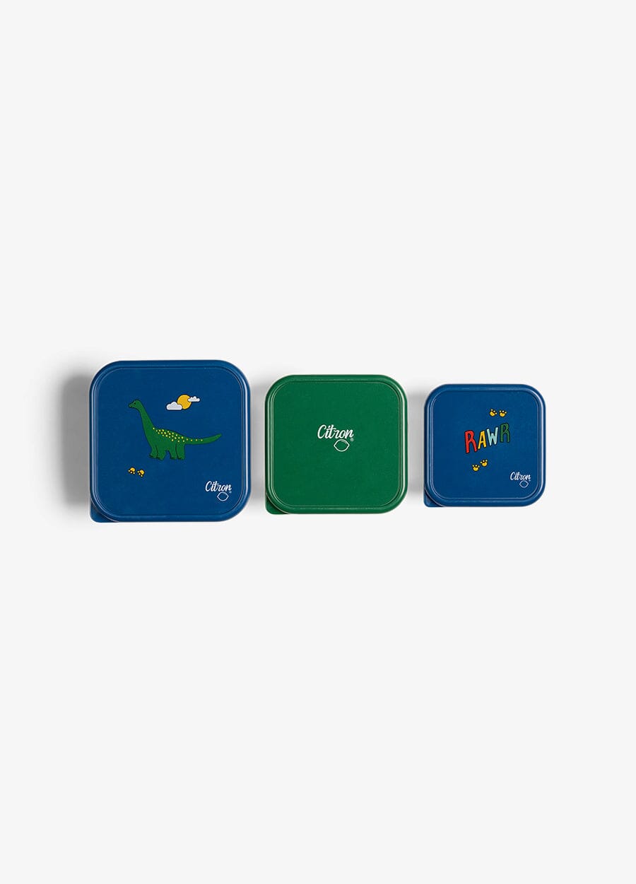 Stackable Stainless steel Lunchbox - Set of 3 - Dino