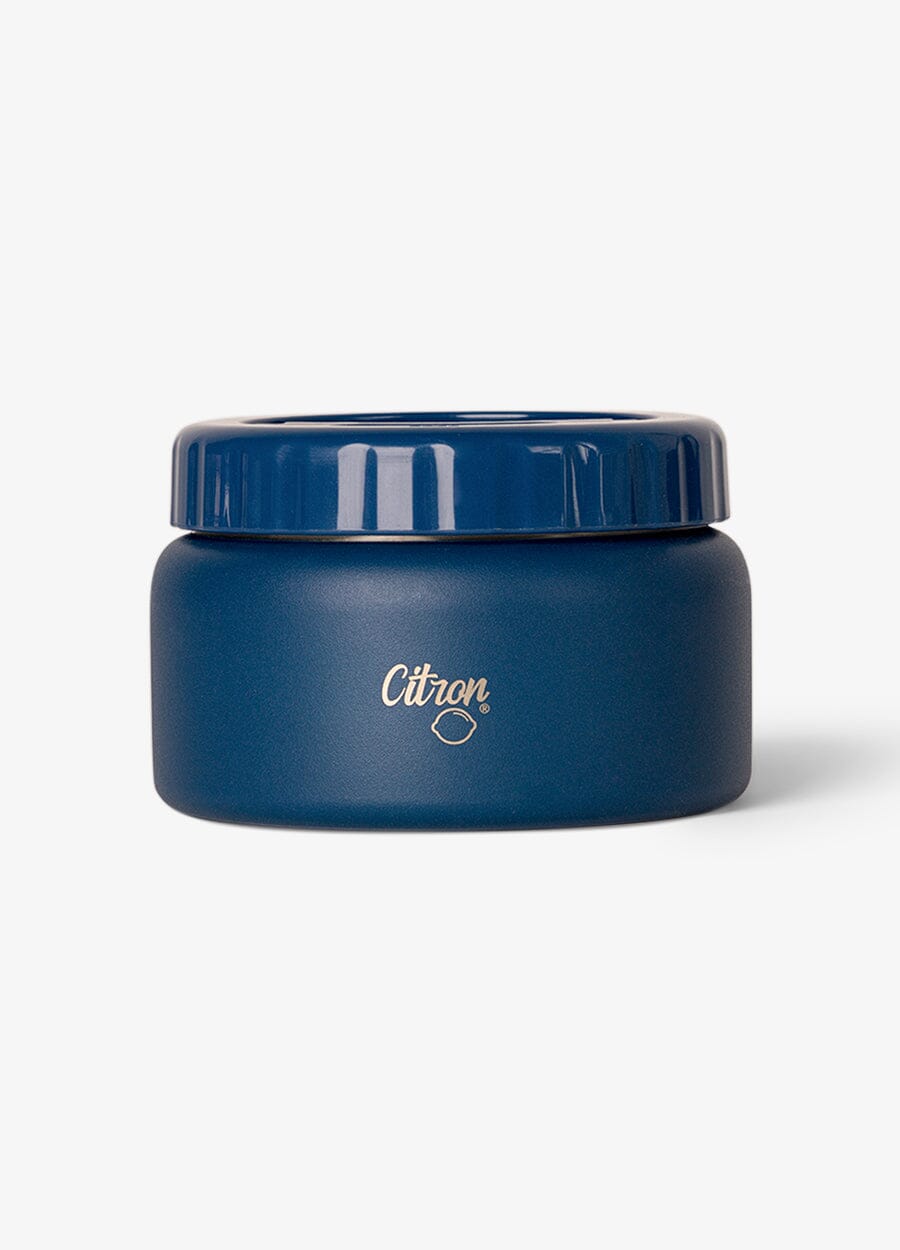 Small Thermal Food Jar - 250ml - Blue Dino
