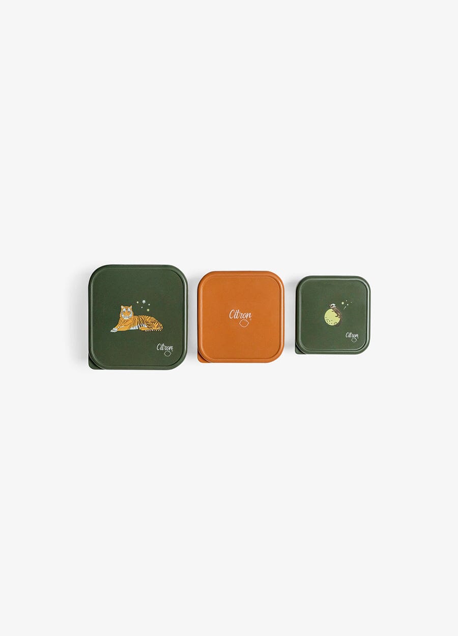 Stackable Stainless steel Lunchbox - Set of 3 - Tiger