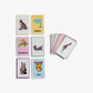 Animal Flash Cards