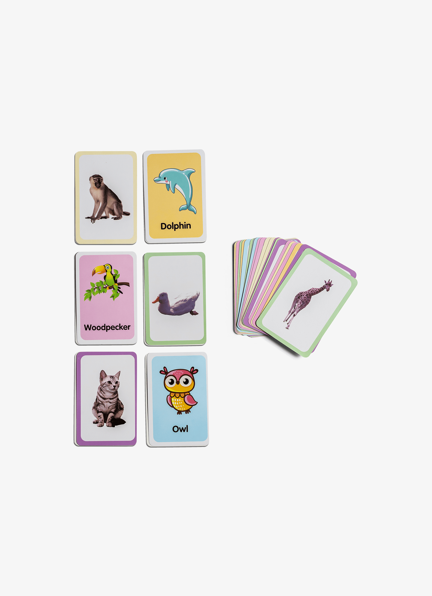 Animal Flash Cards