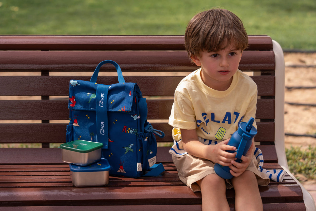 Insulated Rollup Lunch Bag - Dino