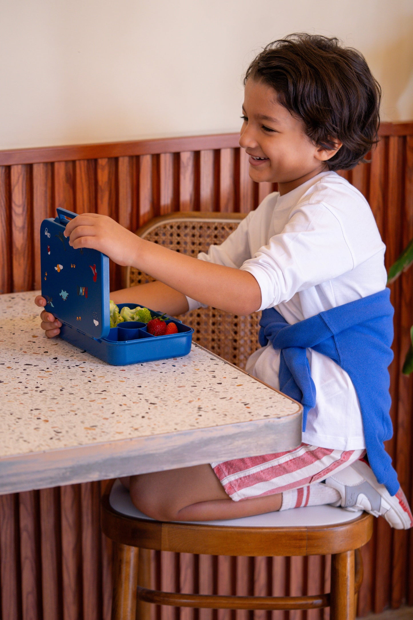 Tritan Lunchbox - 4 Compartments -  Dino