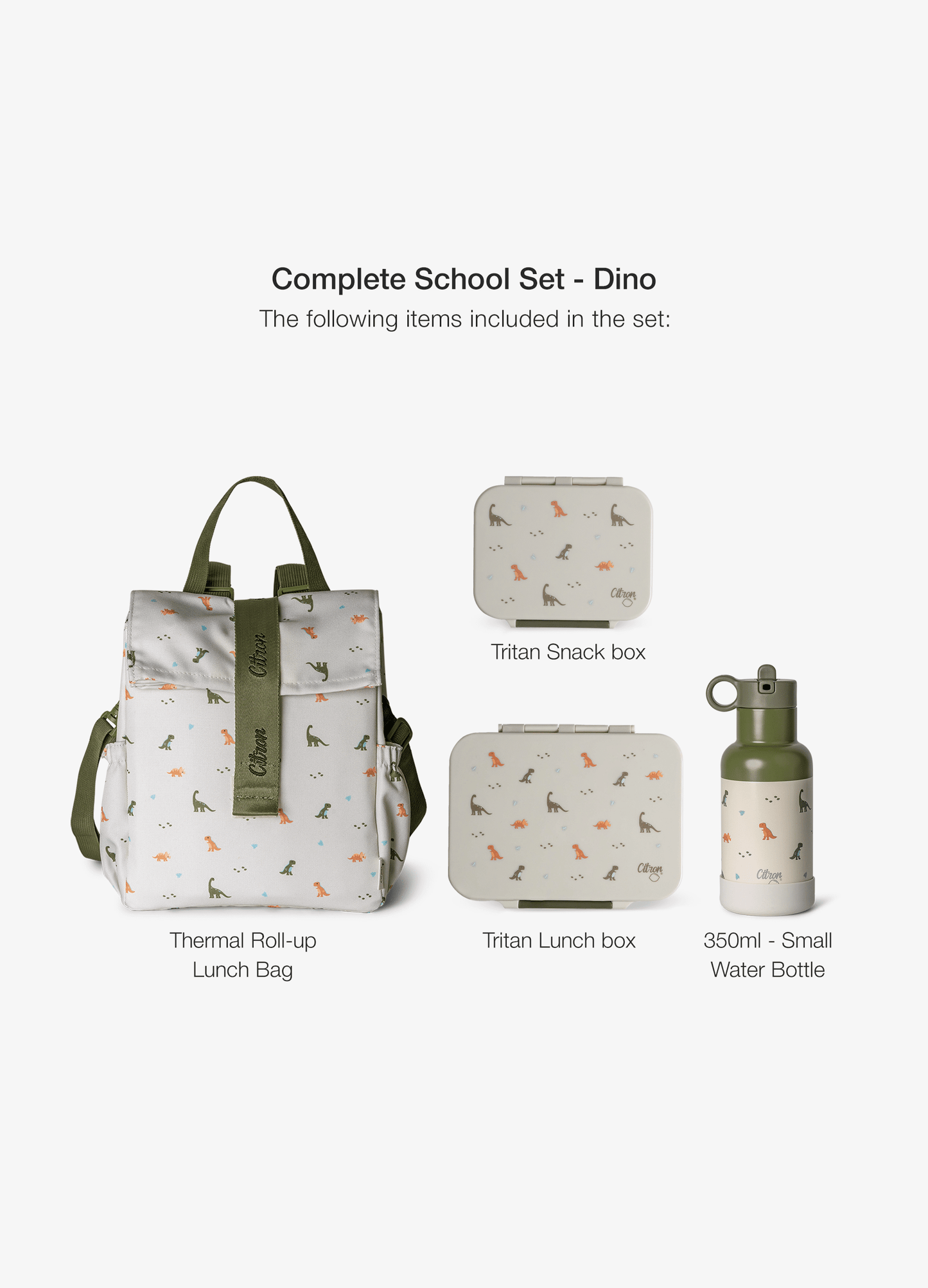 Complete School Set - Set of 4 - Dino