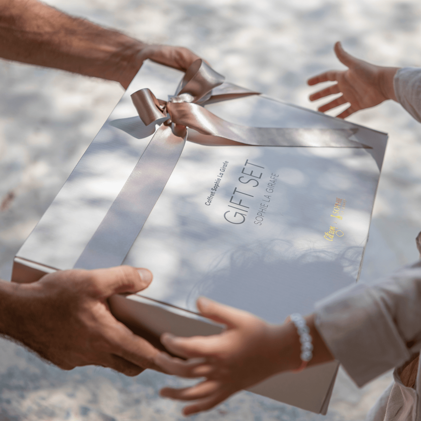 Sophie la 2024 girafe gift set