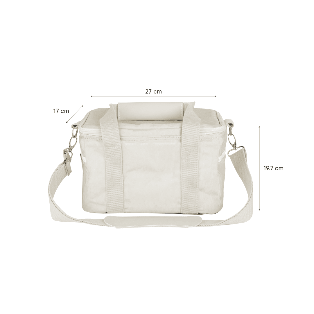Insulated messenger lunch deals bag